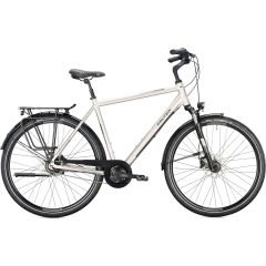 Falter C 5.0 Diamant (2022)