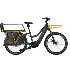 Riese & Müller Multicharger Mixte GT vario 750Wh