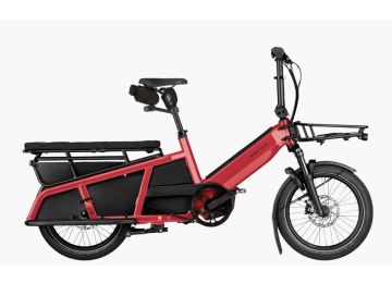 Riese & Müller Multitinker2 vario 625Wh