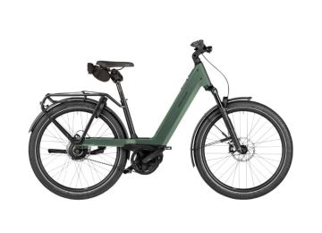 Riese & Müller Nevo5  Vario 800Wh