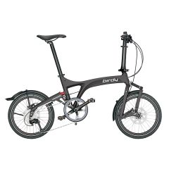 Riese & Müller Birdy touring