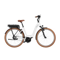 Riese & Müller Swing4 vario