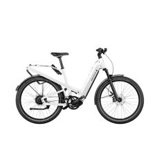 Riese & Müller Homage5 GT Vario 800Wh