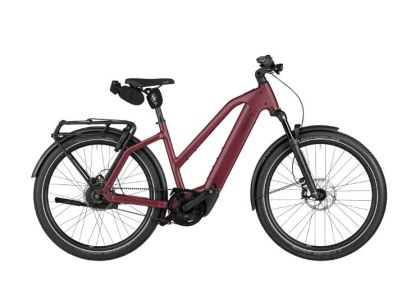Riese & M&uuml;ller Charger5 Mixte Vario